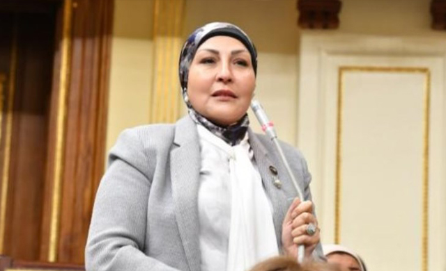 النائبة الدكتورة هالة أبو السعد